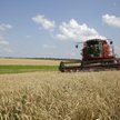 Agroliga bliska realizacji prognozy