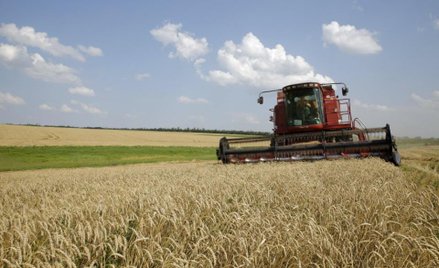 Agroliga bliska realizacji prognozy