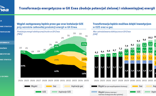 Struktura produkcji energii elektrycznej Enei