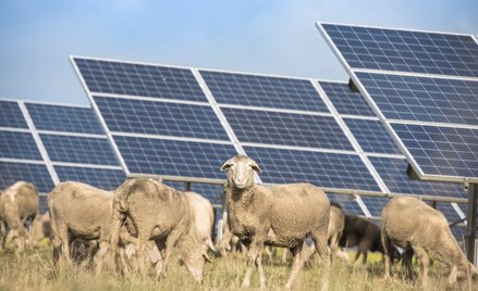 Najwięcej zainwestowano w energię słoneczną i wiatrową, na które przeznaczono 495 mld dol.