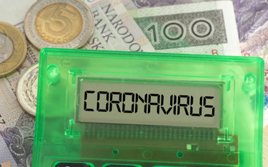 Koronawirus: doradcy podatkowi o swoich przychodach w czasie epidemii