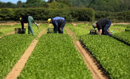 Zielona rewolucja z Brukseli