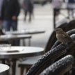 Zdjęcia miesiąca. Fotografie zwierząt. Zwierzęta i ludzie