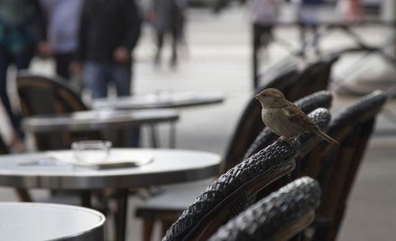 Zdjęcia miesiąca. Fotografie zwierząt. Zwierzęta i ludzie