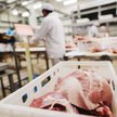 Naukowcy: roślinne zamienniki produktów zwierzęcych są zdrowsze
