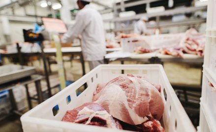 Naukowcy: roślinne zamienniki produktów zwierzęcych są zdrowsze