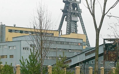 Nowy zakład ma powstać niedaleko kopalni Bogdanka