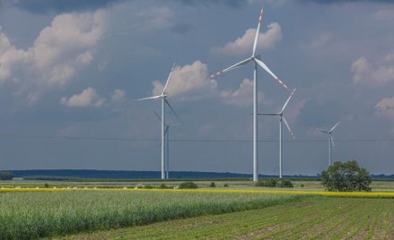 Energia z wiatru pomoże firmom obniżyć rachunki
