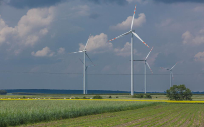 Energia z wiatru pomoże firmom obniżyć rachunki