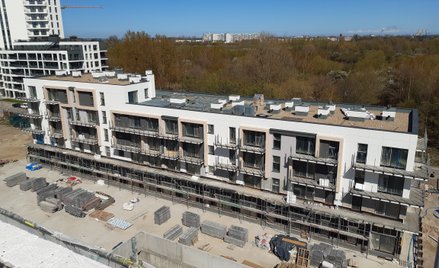 Akcje deweloperów mieszkaniowych w dół. Polityka nakłada się na trend na giełdzie.