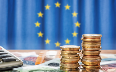 Beneficjent środków unijnych zapłaci za opieszałość organu