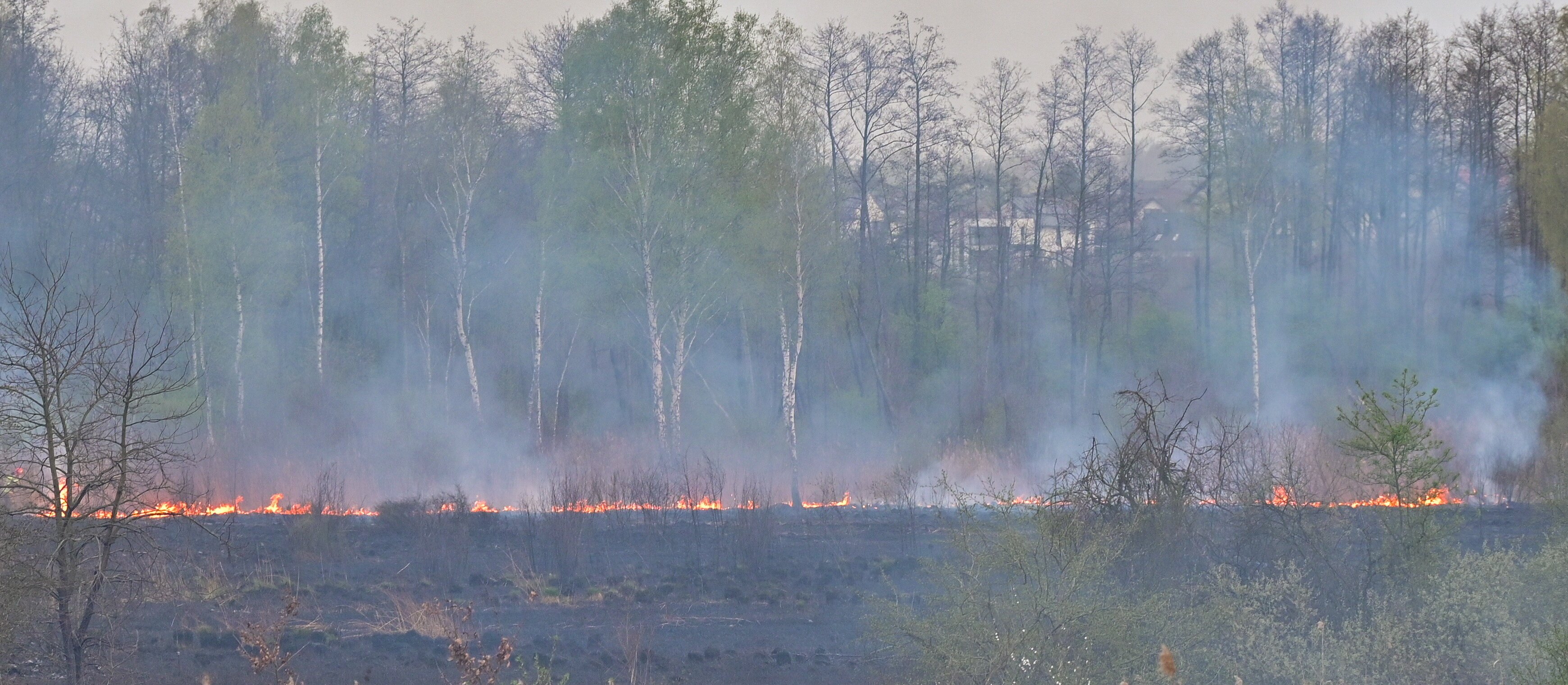 Nawet 30 tys. zł grzywny za wypalanie traw. Sejm uchwalił surowsze kary za sprowadzenie zagrożenia pożarowego