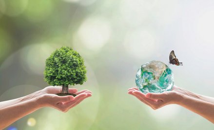 Duże spółki zdały pierwszy sprawdzian z odpowiedzialności