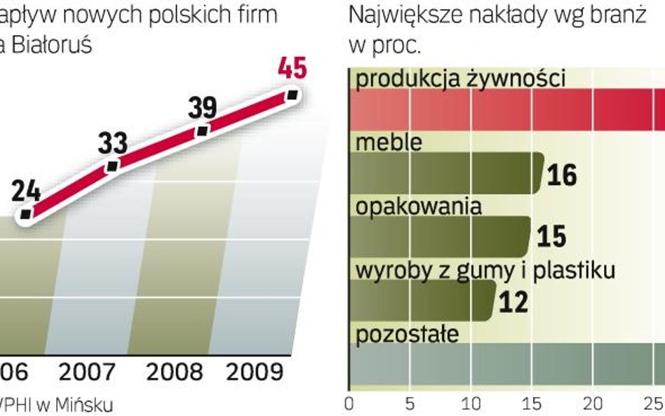 Najwięcej firm z naszego kraju działa w branży drzewnej. Ale największe pieniądze włożono w produkcj
