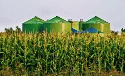 Parasol ochronny nad biogazowniami