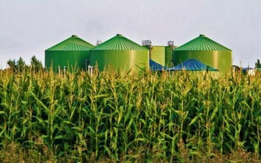 Parasol ochronny nad biogazowniami