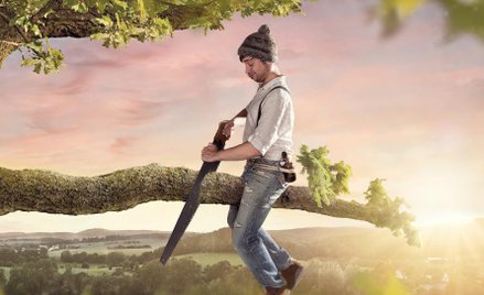 Wycinka drzew: prawo to nie tylko przepisy