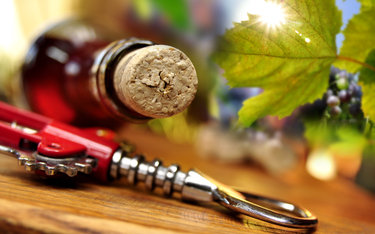 W Europie wina z Moraw i Czech są znane i popularne od średniowiecza. Polacy też je coraz chętniej p