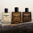Cała rodzina zapachów Burberry Hero: Eau de Toilette, Eau de Parfum oraz Parfum.