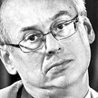 Życie polityczne dzikich