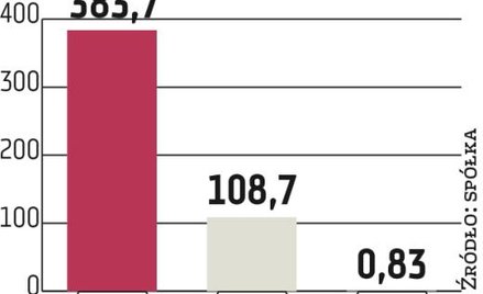 Netia: TK Telekom jeszcze stabilizuje przychody