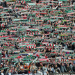 Kibice Legii
