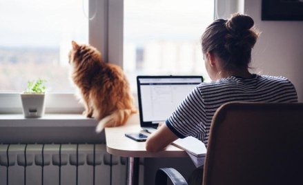 Na niektórych uczelniach wyższych trwają już obrony zdalne prac licencjackich czy magisterskich.