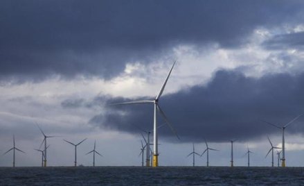 Wirtualne projekty farm wiatrowych nadal będą blokować moce – przestrzegają prawnicy i eksperci zajm