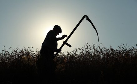 Urbanek: Wojna o polską wieś
