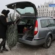 Mandat za źle przewożoną choinkę