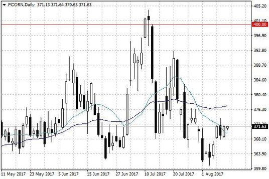 Notowania kukurydzy – dane dzienne