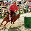 Reining – western na sportowo