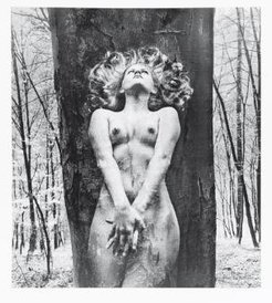 Praca Wojciecha Plewińskiego.