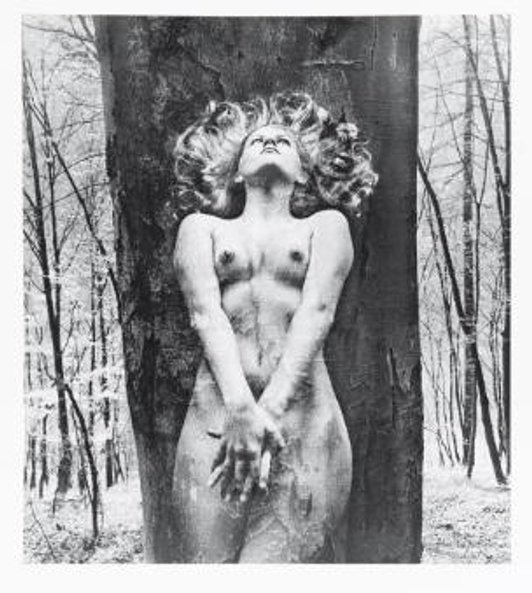 Praca Wojciecha Plewińskiego.