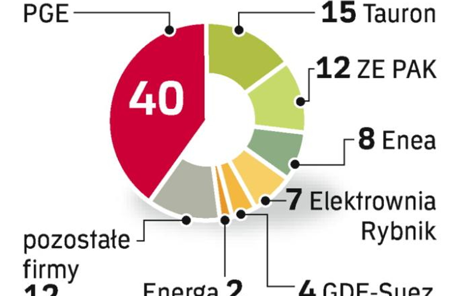 Grupa ma znaczący wpływ na rynek, choć jej udział w sprzedaży energii wynosi 26 proc.