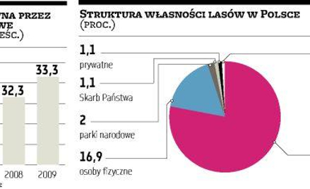 Atak na aukcje drewna