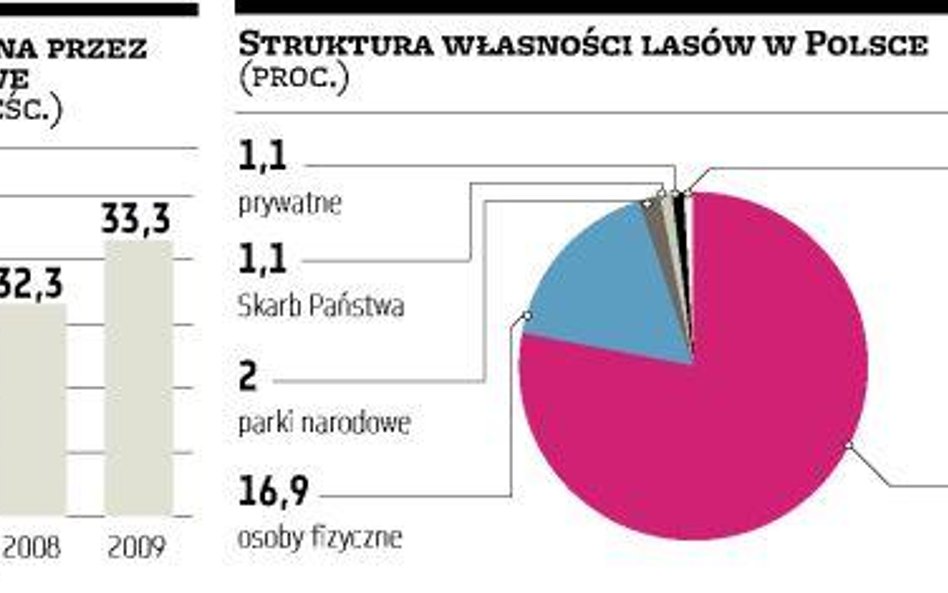 Atak na aukcje drewna