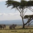 Kenia