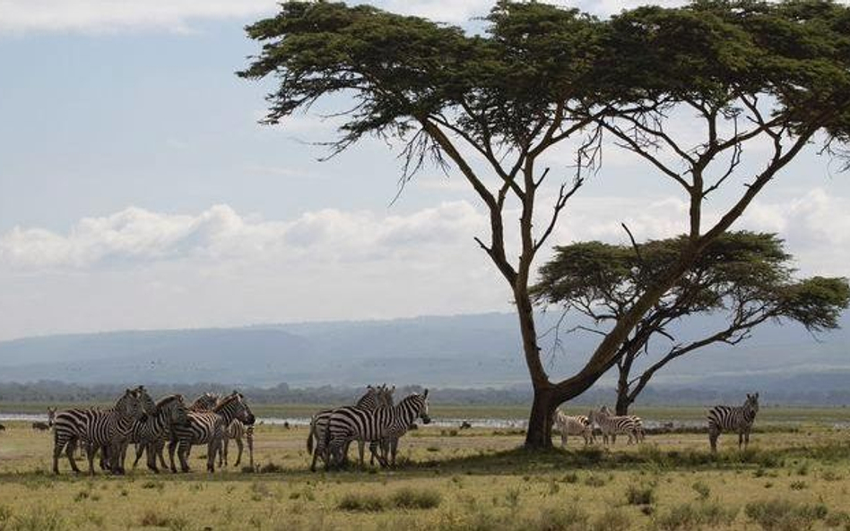 Kenia
