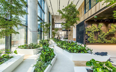 Zrównoważone budynki w najlepszych lokalizacjach będą cieszyć się rosnącym popytem i zgarniać „zielo