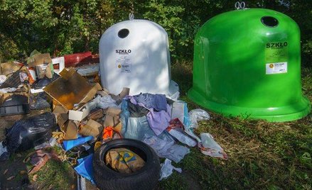 Miasta na razie stawiają na promowanie segregowania śmieci