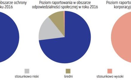 Poziom raportowania niefinansowego spółek giełdowych