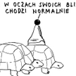 Komentarz rysunkowy