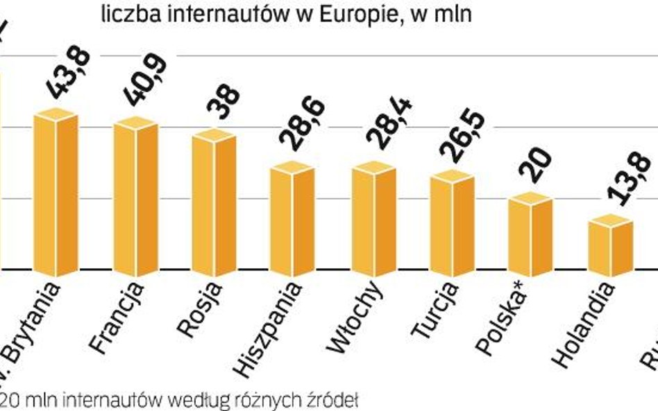 W Polsce dostęp do sieci ma już 48 proc. gospodarstw domowych. Przeciwko kosztownemu pomysłowi groma