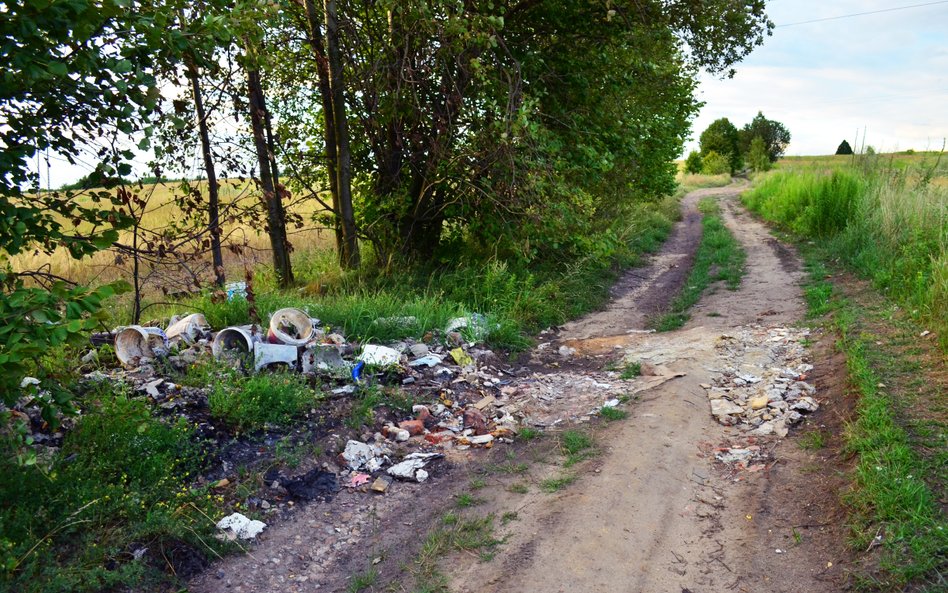 Kary za zaśmiecanie środowiska są zbyt niskie