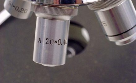 Wielkie znaczenie małego organu