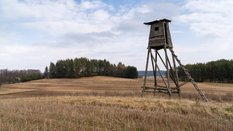 Gorąco wokół prawa łowieckiego. Projekt obywatelski pobił sejmowy rekord