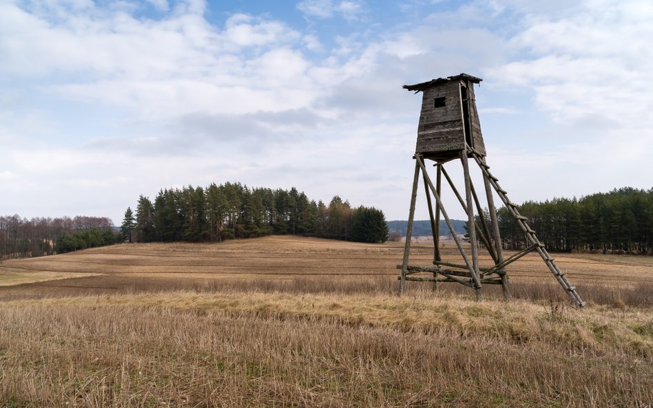 Szykuje się kolejna zmiana w prawie, która nie spodoba się myśliwym