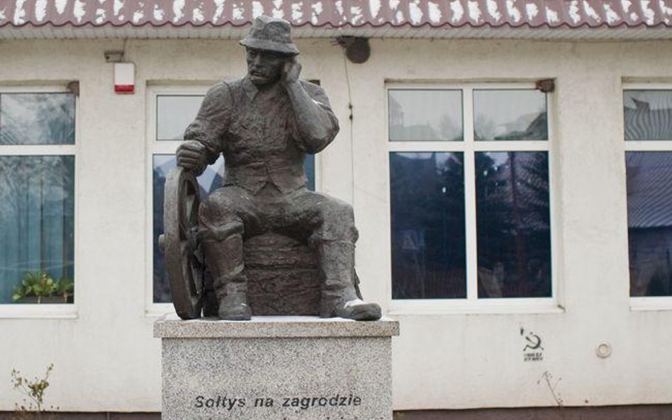 Sołtysem można być także w mieście