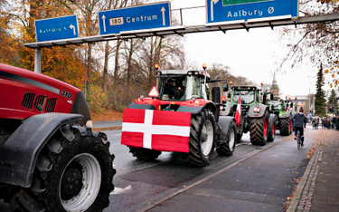 Dania: Nielegalny ubój norek. Minister rolnictwa rezygnuje